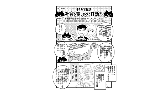公共訴訟の認知・共感の向上
