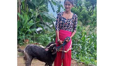 ネパール地場産業興しのための山羊牧畜支援